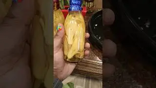 Natural Champak | Sonchafa Flower Bottles | Champa Flower | Plants Scripture