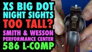 XS Big Dot Sights : Do They Suck?