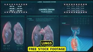 LUNGS ANIMATION , FREE STOCK FOOTAGE , COPYRIGHT FREE VIDEOS , NO COPYRIGHT , ROYALTY FREE , HD , 4K