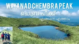 Wayanad Chembra Peak Trip Plan | How to go