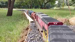 1/24 scale Cape Gauge 1 class 34 diesels. EMD GT26MC with sound and dynamic smoke