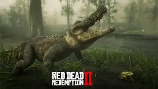 TODOS OS ANIMAIS DO JOGO parte 01 - Red Dead Redemption 2