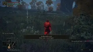 ELDEN RING Moonveil gameplay