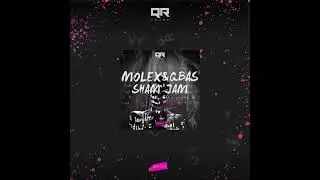 MOLEX., QBas, Sham Jam - Fata Margano [QRS043: OUT NOW!] | Indie Dance