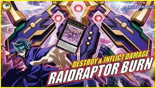 RAIDRAPTOR FALCON BURN OTK 🔥 Magic Raidraptor's Force / Destroy & Damage [Yu-Gi-Oh! MASTER DUEL]