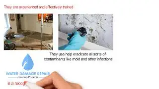 Experts to Hire for Phoenix Water Damage Restoration