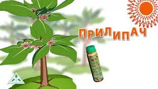 Препарат 30Д от компании Агропромника