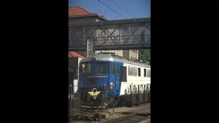 live de sfarsit de vara