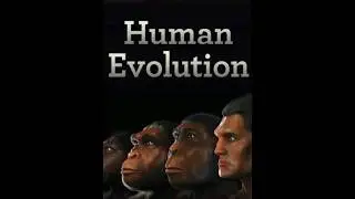 Evolution of human🚶&zwj;♂️... #humanevolution #evolution #humanhistory #monkey #humandevelopment