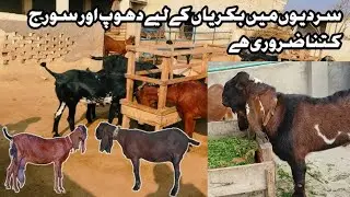 Goat's feed management explained in detail | bakriyoon ki khurak | goat farming |