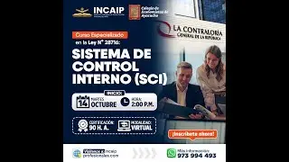 Curso Especializado en la Ley N.&deg; 28716: Sistema de Control Interno (SCI)