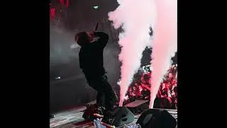 Scally Milano - Мошпит