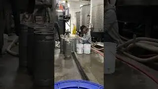 Kegging some tasty peach jalape&ntilde;o sparkling mead by Modern Day Mead
