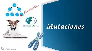 👩🏻&zwj;⚕️ Mutaciones 🧬✅
