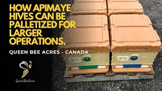 How to Palletize the Apimaye hive