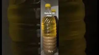 Natural Oil Filter Process, Best for Health - Cold pressed Oil #pureoil #coldpressedoil