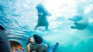 What does a magical trip to Winnipeg look like?