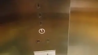 More FujiSTEP Lifts - HDB Hub