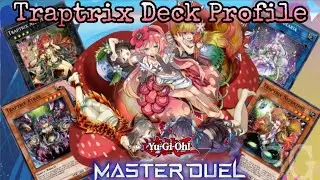 ITS A TRAP!! Traptrix Deck Profile Yu-Gi-Oh!