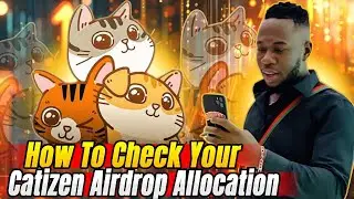 How To Check Your Catizen Airdrop Allocation