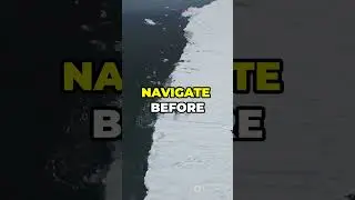 True or False? The Shortest War vs. Flying Penguins!