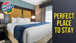 Comfort Suites Fort Lauderdale Airport South & Cruise Port - Perfect Place to Stay🌟