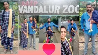 வீட்ல இருந்தே Vandaloor Zoo பாருங்க 🐊🦍🐘🐆🐅🦌#trending #vandaloor #zoo #youtube #travel #chennai#outing