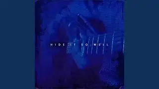 Hide It So Well