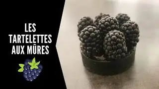 Tartelettes aux mûres