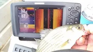 Soup Dudes Lake Allatoona Striper Hybrid White Bass Blitz 8-19-14