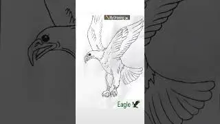 🔥Eagle Drawing🦅 | Eagle Drawing easy | #eagle #eagledrawing #drawing #art