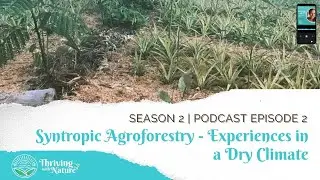 Syntropic Agroforestry - Experiences in a Dry Climate