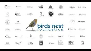 Birds Nest Foundation Showreel