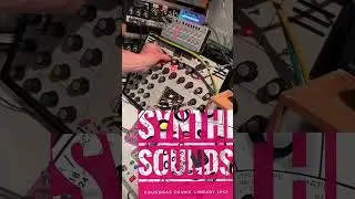 Soundgas Sounds LP01 - EMS Synthi A