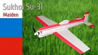 DIY Sukhoi Su-31 3D plane maiden flight