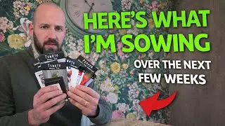 Here&rsquo;s What I&rsquo;m Sowing Next &ndash; Chilli & Tomato Seeds for the New Season!