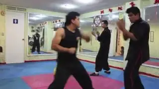 Wing Chun M&eacute;xico