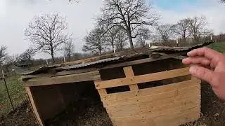 Pig farm update (MY BIRHDAY TOMORROW)