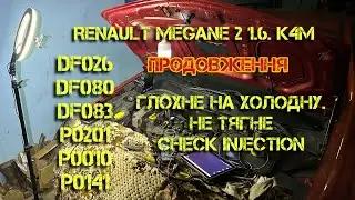 Будення з Renault Megane 2  Частина 2  Глохне на холодну, не тягне і Check Injection  DF026  DF080