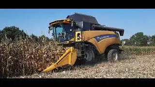 MOISSON DE MA&Iuml;S 2020 & BROYAGE MA&Iuml;S HUMIDE🌽 - New Holland CX 8.70 bec 8 rangs | Broyeur Castel 😮