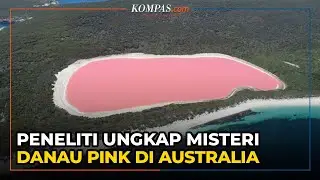 Peneliti Ungkap Misteri Danau Pink di Australia