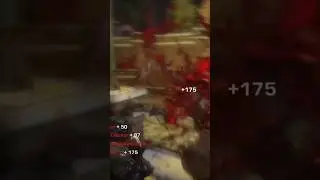 I Miss The OG Onyx Guard