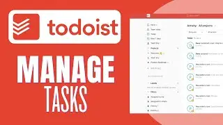 How to Manage Tasks with Todoist
