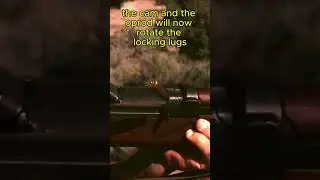 Slow Motion: M1 Garand