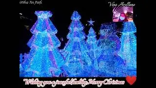 Glowing Christmas Display @Sha Tin Park