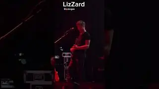 LizZard - Pelagic Fest #progressivemetal #progressiverock #alternativerock