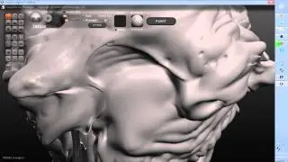 Joker Model Sculptris / By: &Oslash;bed El&iacute;as