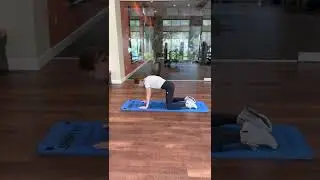 Quadruped spinal flexion rockers - Fit Family Physical Therapy