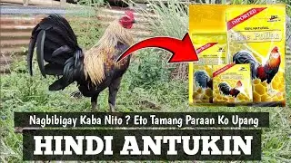 Naranasan Mo na ba Magbigay Nito | Bee Pollen | Ganito ang Diskarte Ka | Linyada ng Mamay 