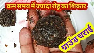रोहू, कतला, ग्रास मछली का ग्राउंड चराई || कम समय में ज्यादा शिकार करने के लिए || Sundar Bihar